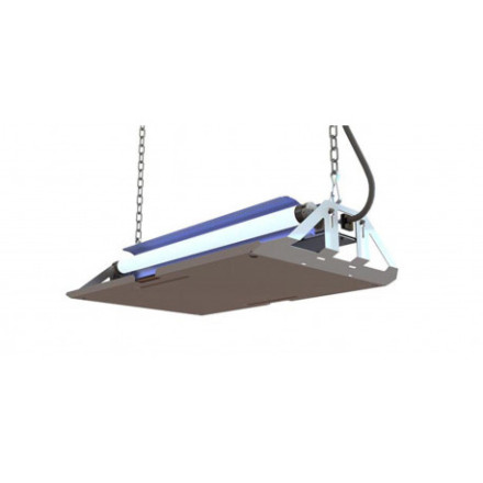 GENUS DELTA GENUS DELTA